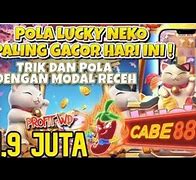 Pola Slot Pg Soft Lucky Neko Buy Spin Hari Ini